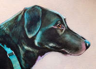 black dog painting