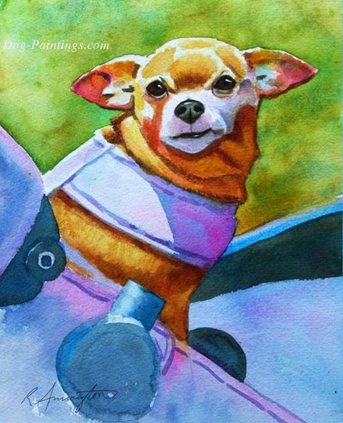 Portrait of Chihuahua