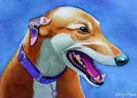 greyhound portrait
