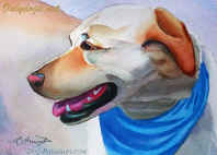 retriever portrait